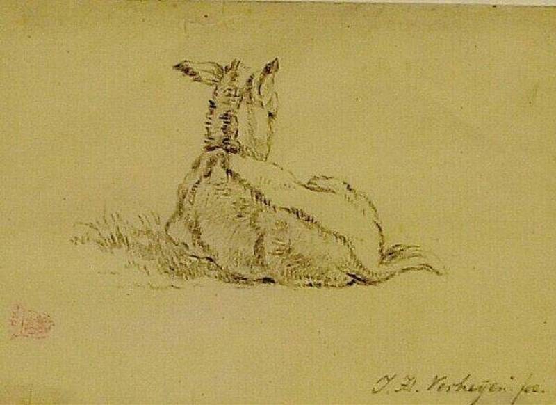 Reclining Donkey