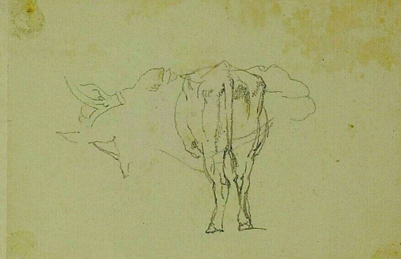 Head of a Horse and Study of a Cow