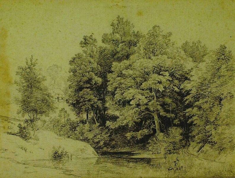 Water Feature with Group of Trees