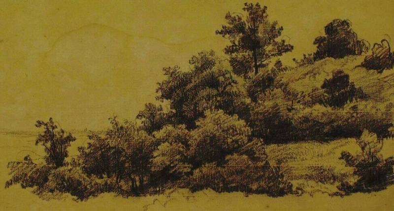 Wooded Hill