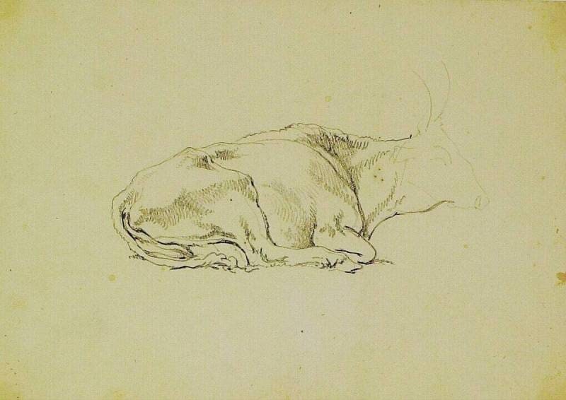 A Reclining Buffalo