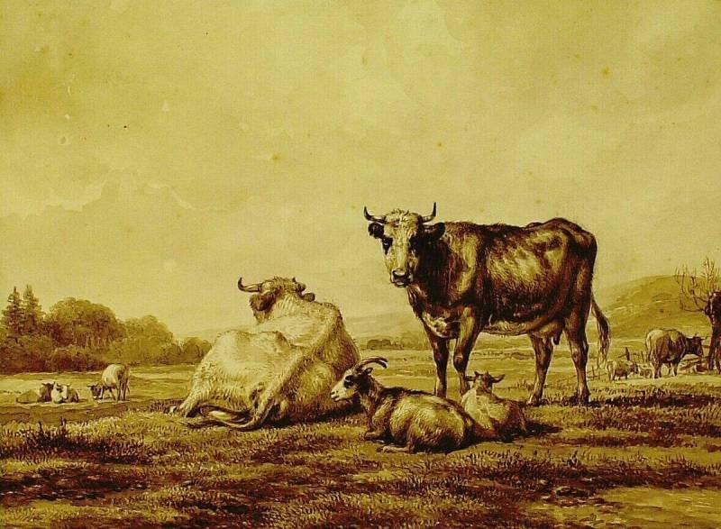 Pasture with Cattle