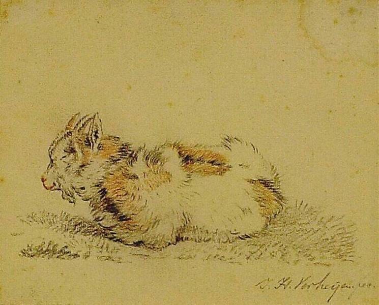 A Reclining Buck
