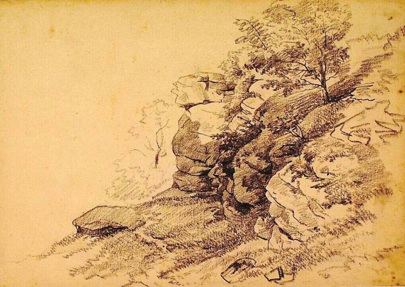 Rock Formation with a Tree