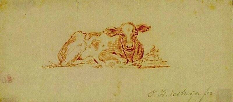 A Reclining Calf