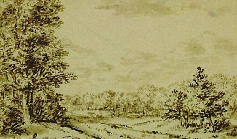 Road along a Forest Edge