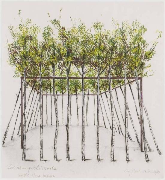 Birch Palisade (Proposal Hoge Veluwe)
