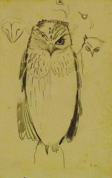Owl, Studies