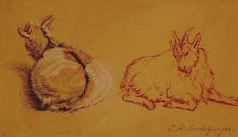 Two Reclining Bucks