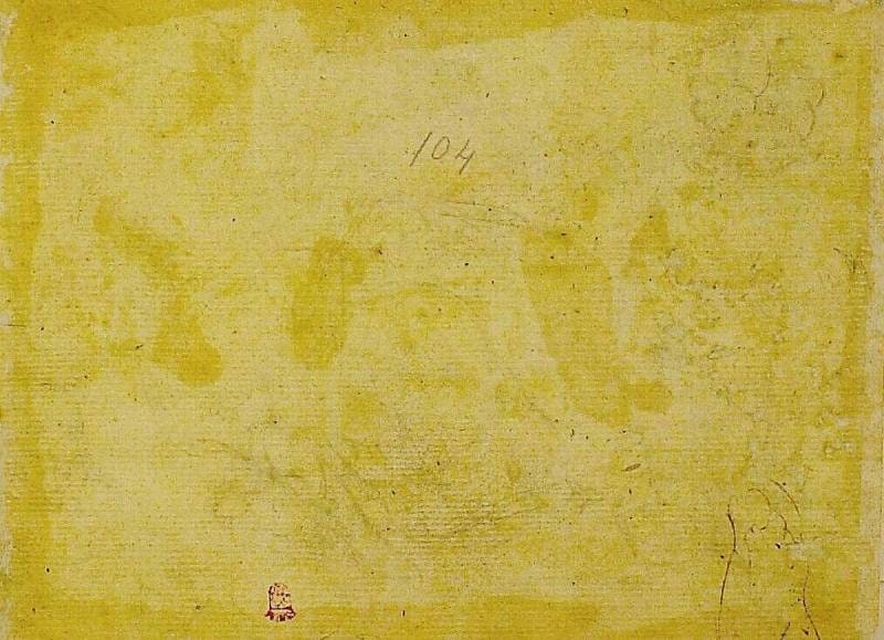 An Upper Leg, a Knee and a Figure