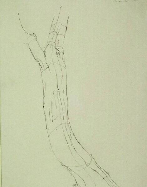 Tree Study