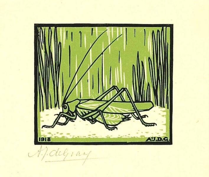 Grasshopper