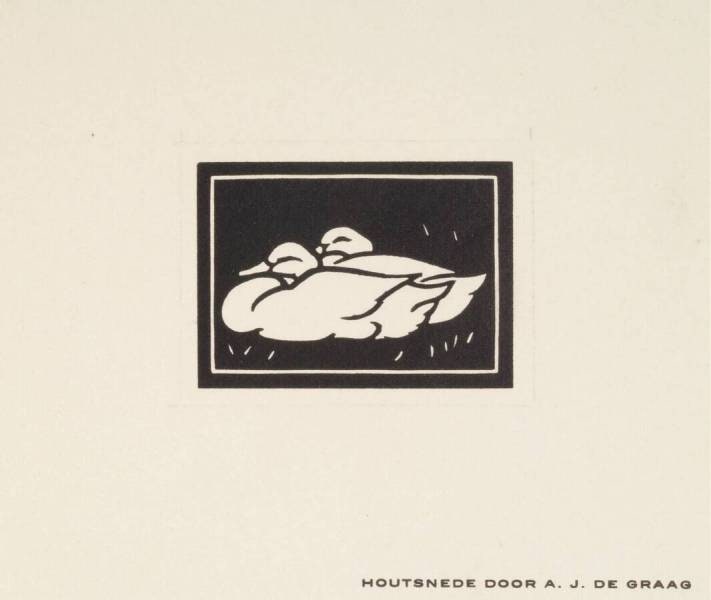 Two Ducks