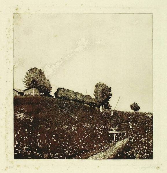 Farmer's Funeral