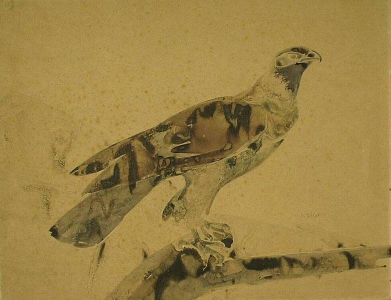 Eagle