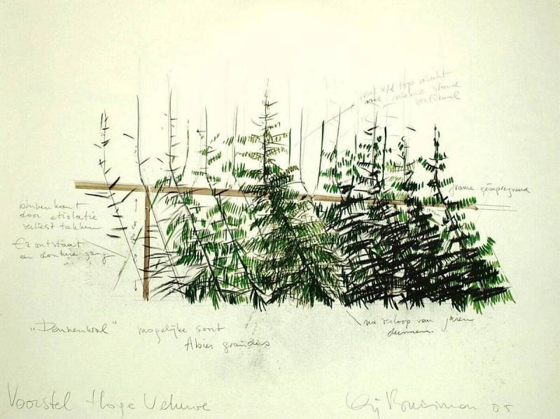 Pine Bank