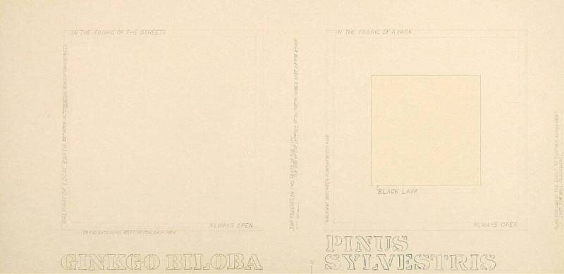 Ginkgo Biloba. Pinus Sylvestris