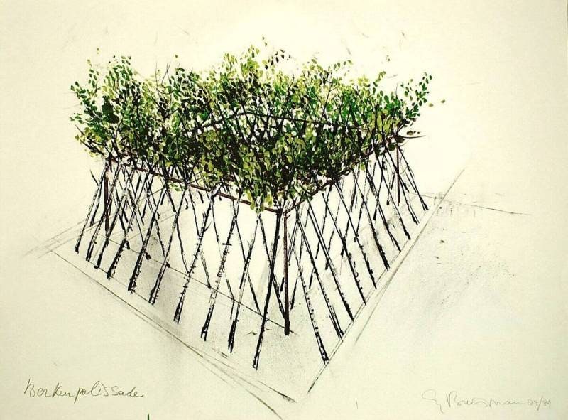 Birch Palisade