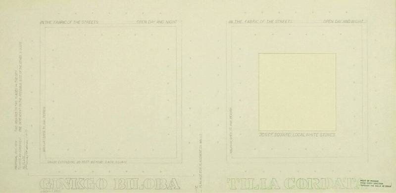 Ginkgo Biloba. Tilia Cordata