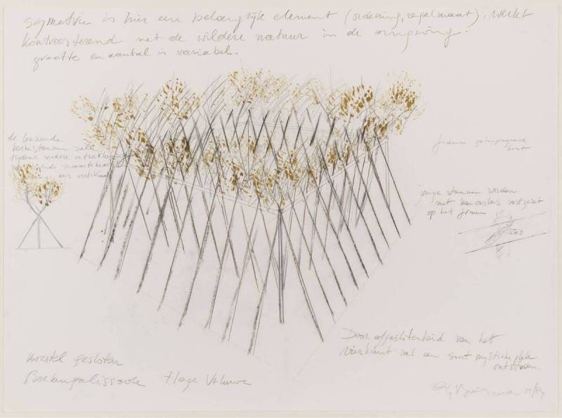 Birch Palisade