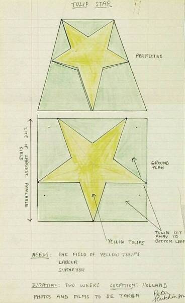 Working Drawing for 'Tulip Star'