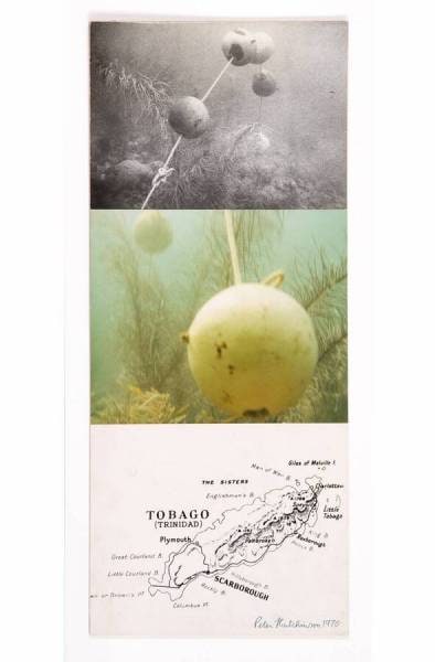 Threaded Calabash