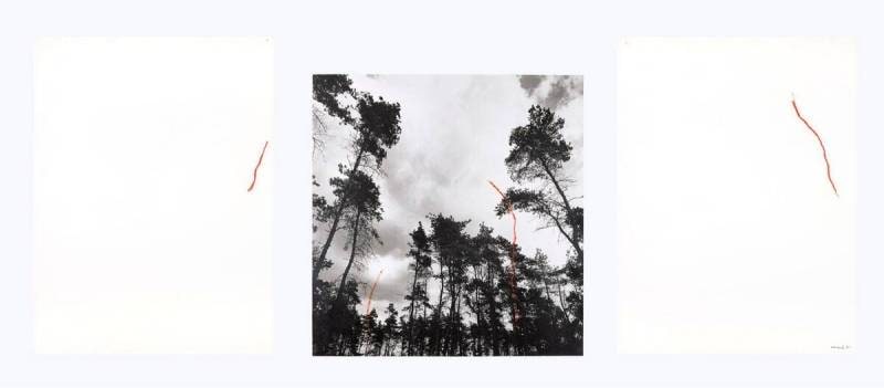 Untitled (Triptych)