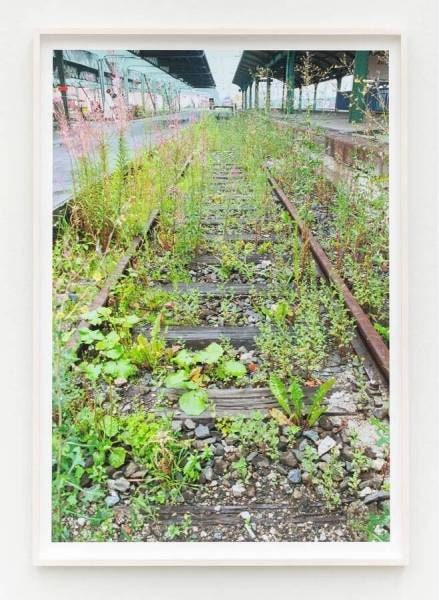 What is Beyond Plants is at One with Them
