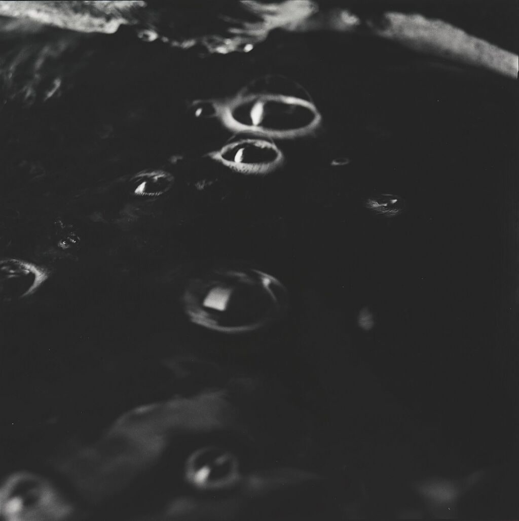 Woodland and Water 9
