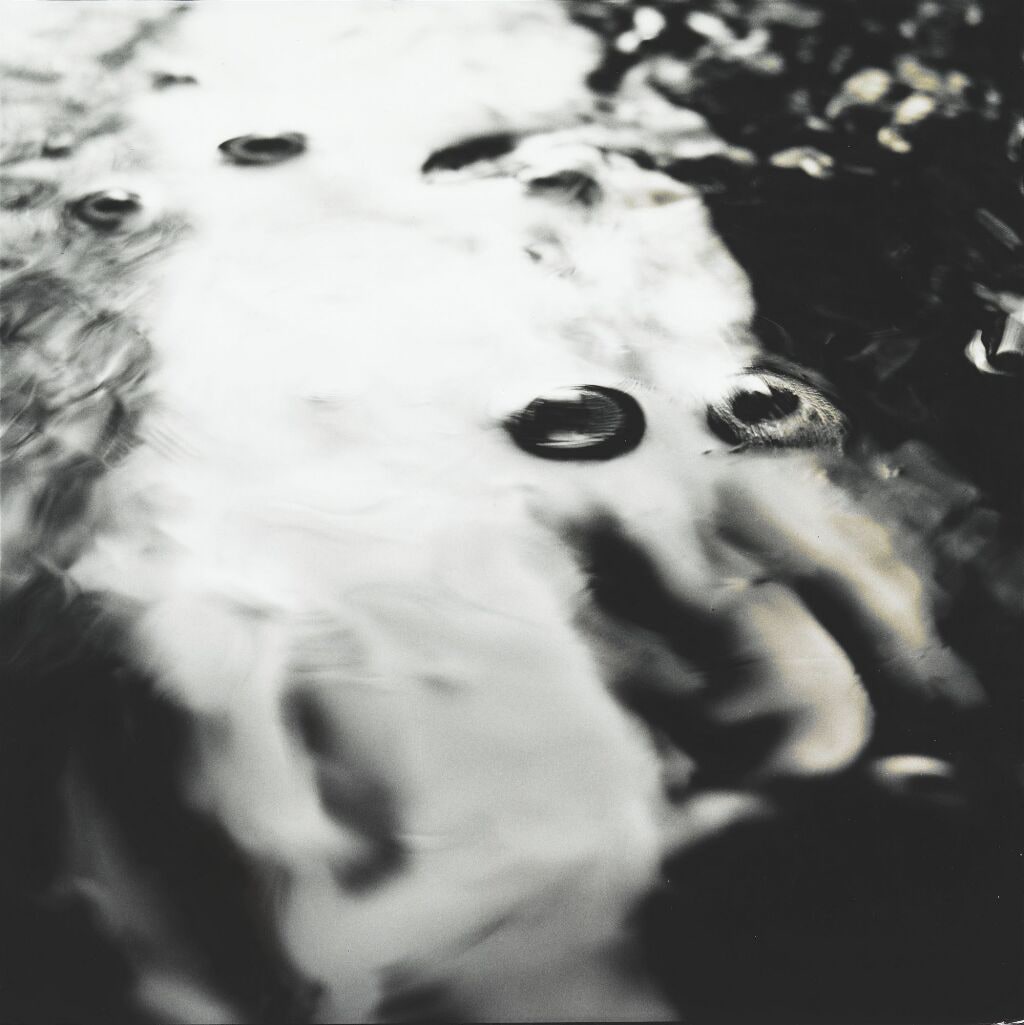 Woodland and Water 8