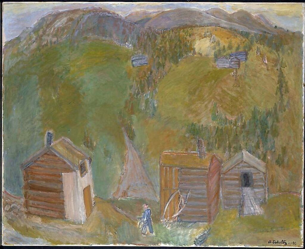 Hillside facing north in Skåbu