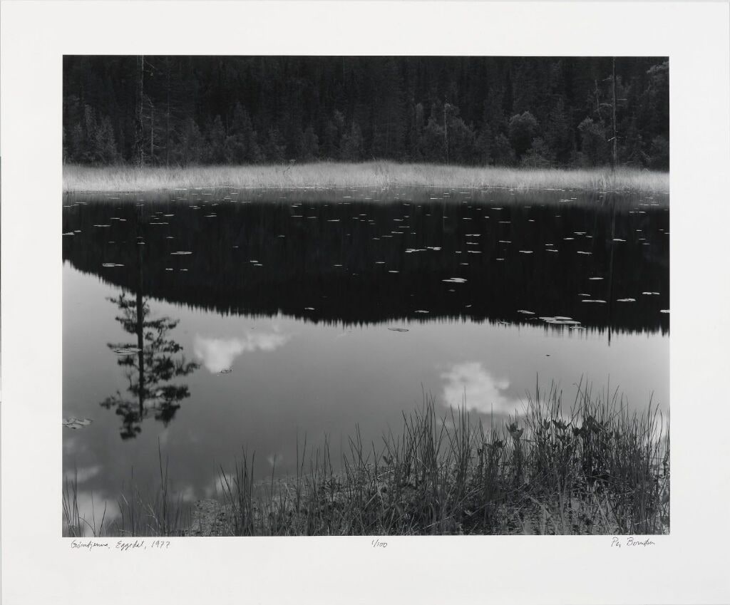 Reflection, Eggedal, 1977