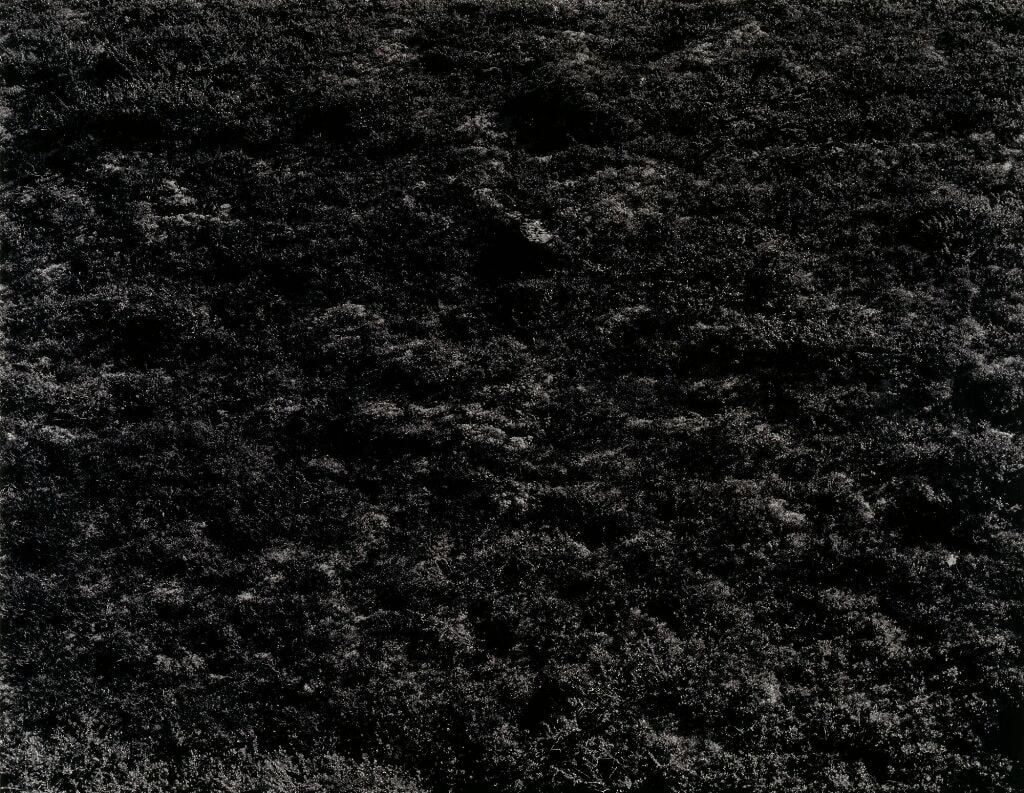 Landskap nr. 4, Eggedal 1985