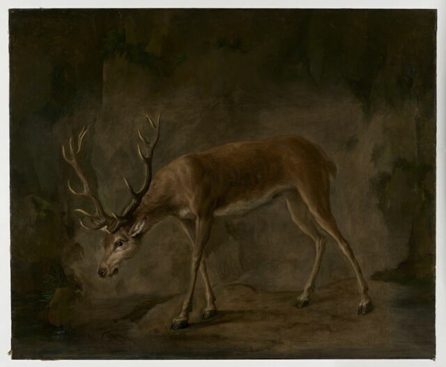Un Cerf qui se mire dans l'eau (Fable de La Fontaine)