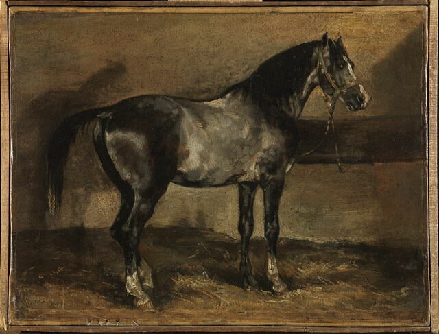 Cheval gris au râtelier