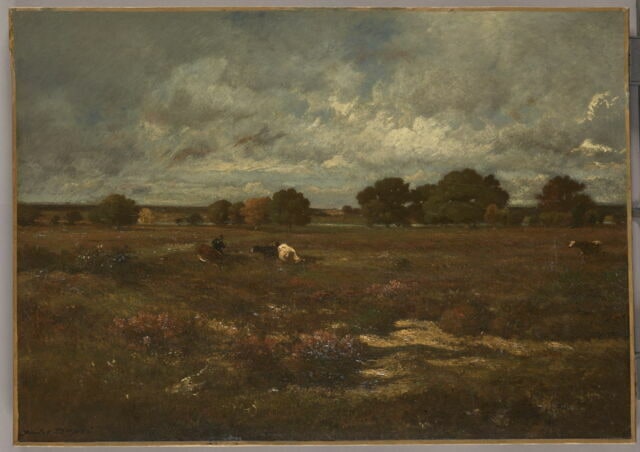Les landes