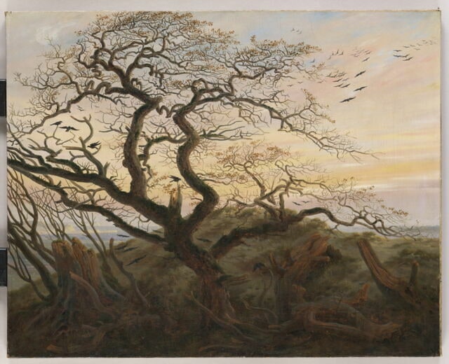 L'arbre aux corbeaux