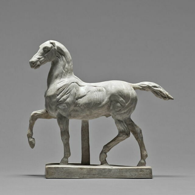 Cheval écorché