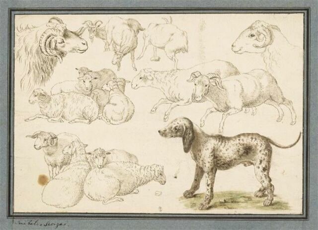 Etudes de moutons et béliers, seuls ou groupés, et d'un chien