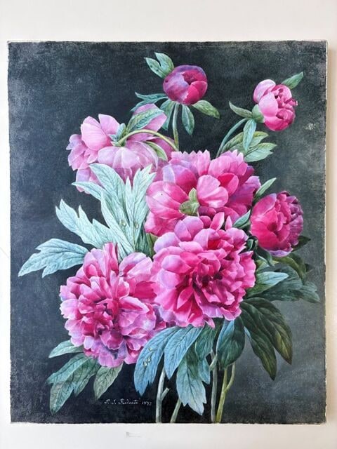 Tableau de fleurs : pivoines