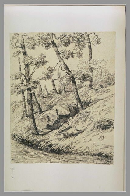 Talus planté d'arbres