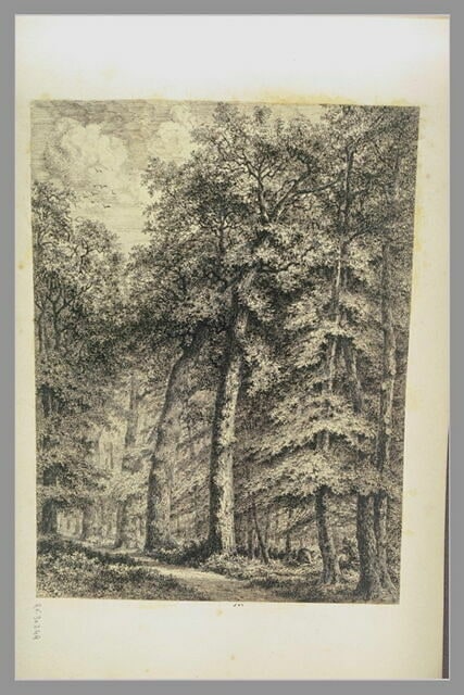 Chemin en forêt avec personnage ramassant du bois