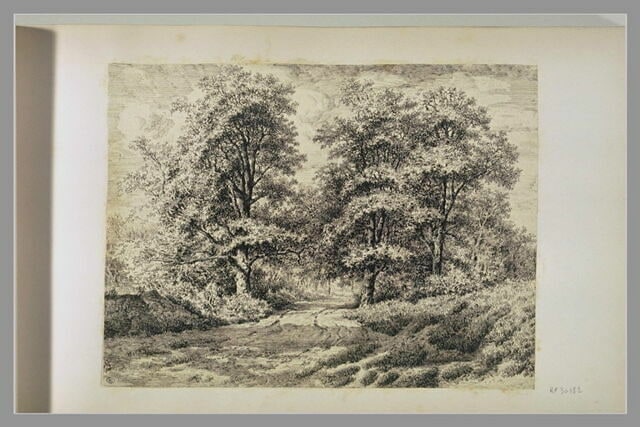 Grand chemin à travers la forêt : 'Bas Bréau, 6. 9bre 1855'