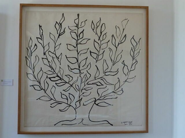 Arbre, platane