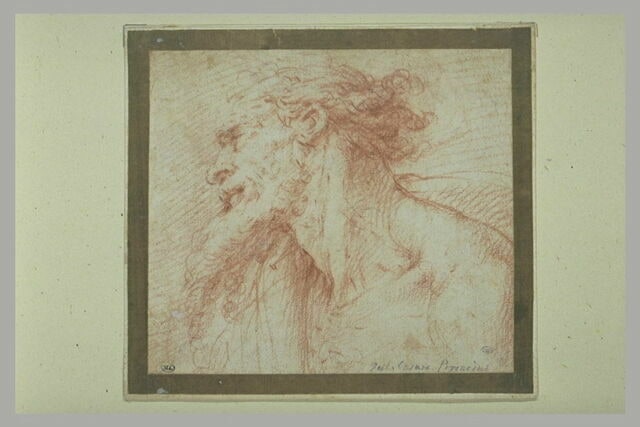 Etude d'une tête de vieillard, vue de profil