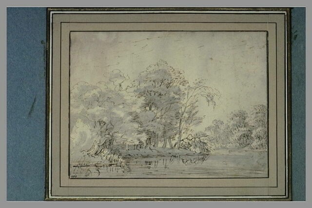 Bords boisés d'une rivière