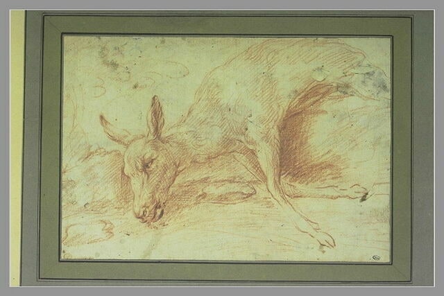 Etude de biche morte