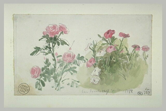 Etude de roses