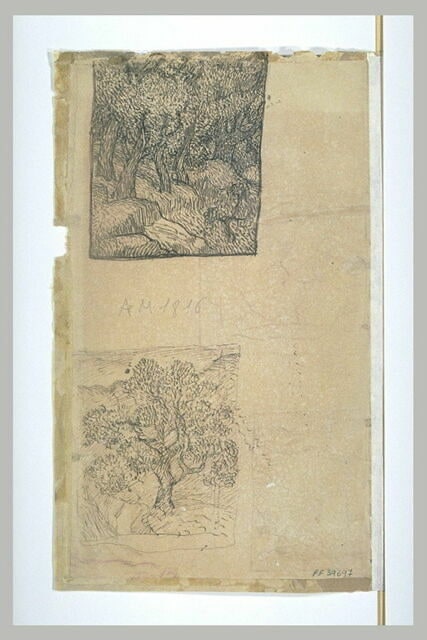 Feuille d'études : rochers dans la forêt, arbre dans les collines, femme