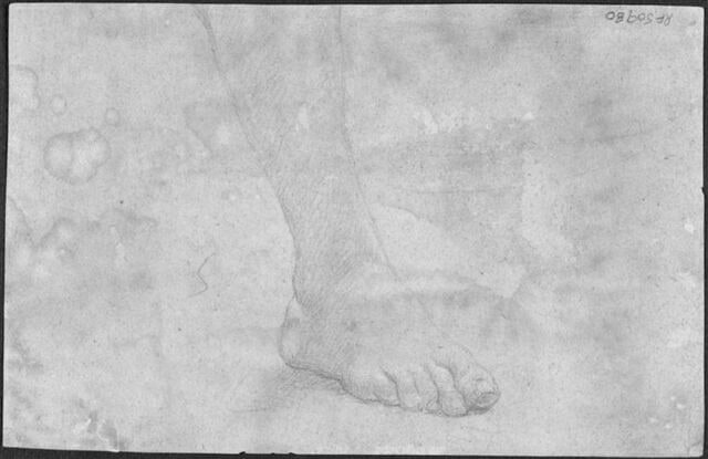 Etude d'un pied droit et fragment d'une anatomie